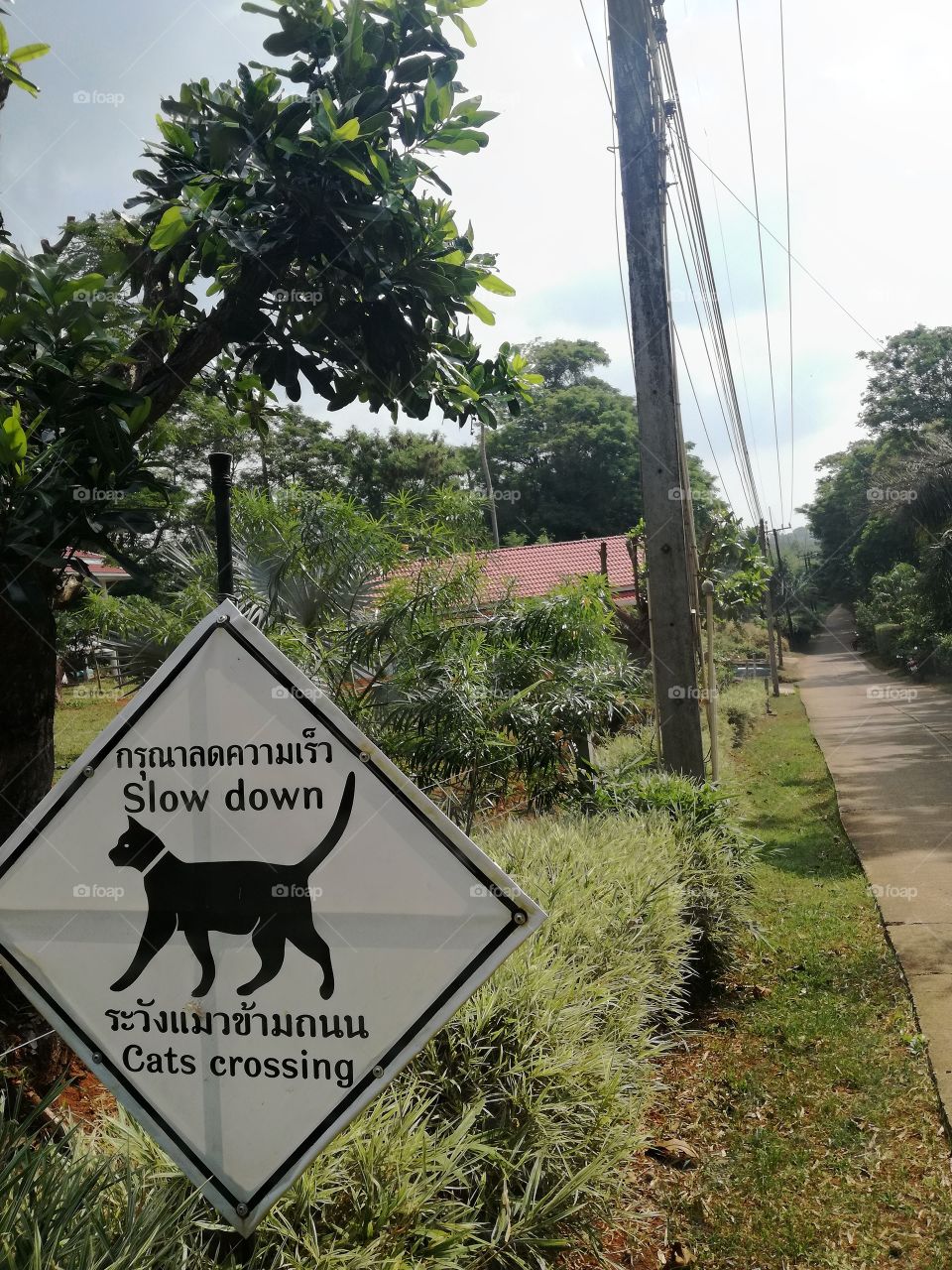 road sign