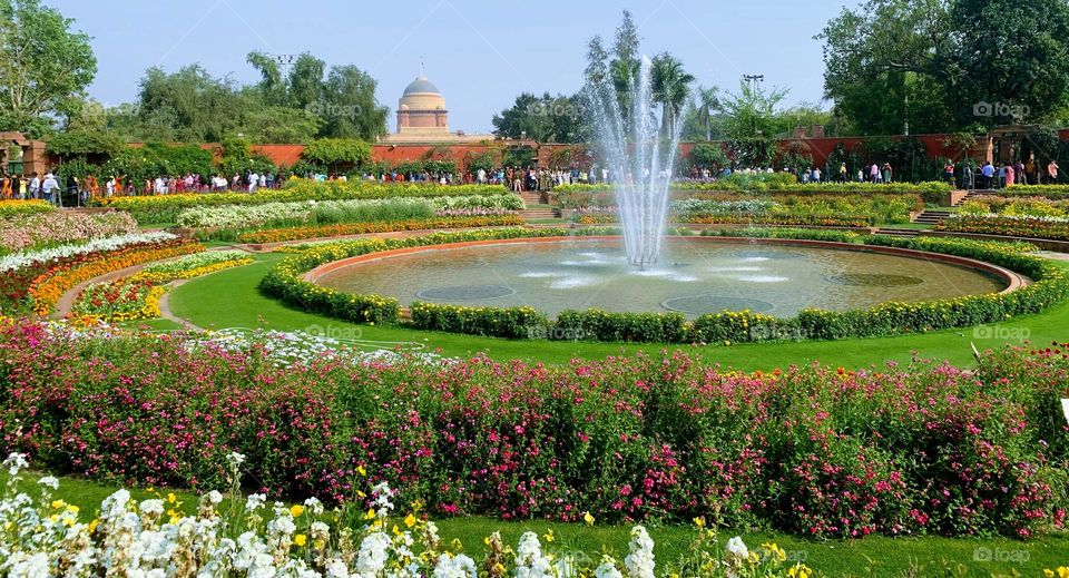 Circular garden in Indian President’s house- The majestic Rashtrapati Bhawan #beautiful #amazing #flowers #trees #fountain #amritudhyan #amritudhyanmahotsav #architecture #iconic