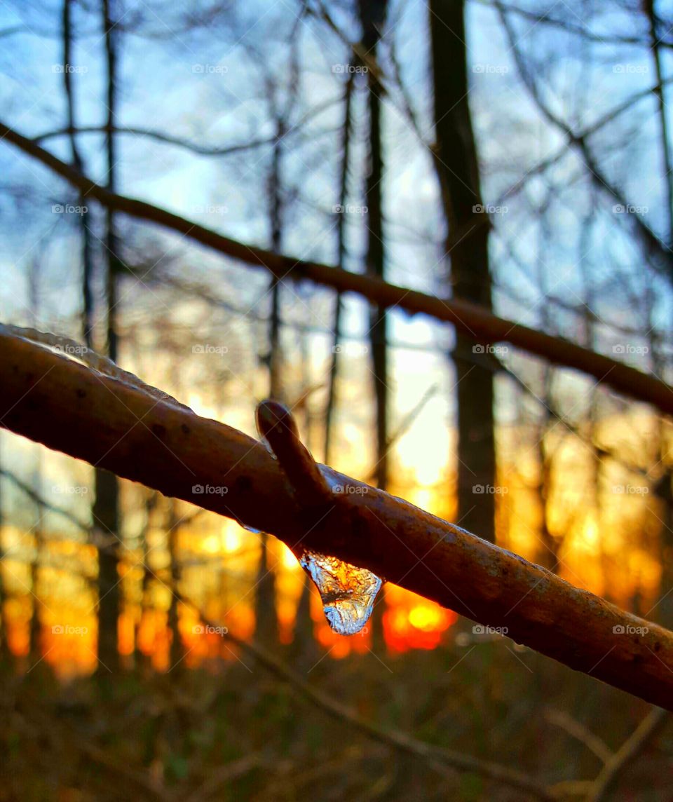 sunrise through raindrop