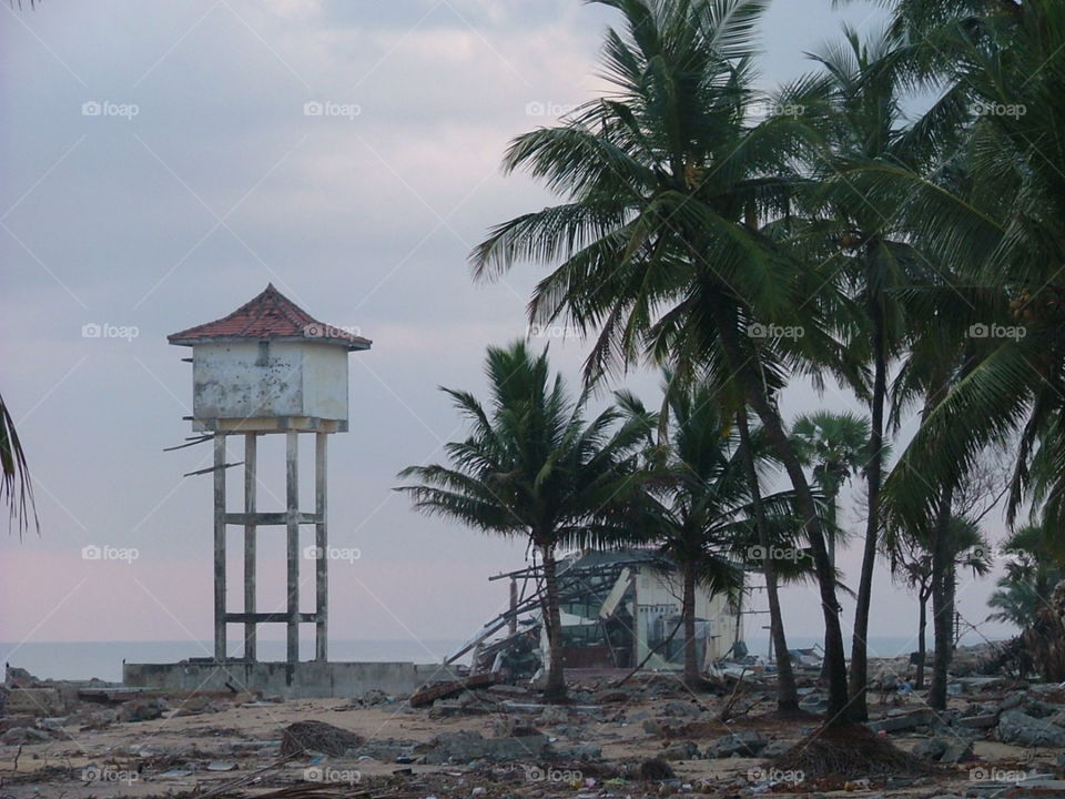 after Tsunami