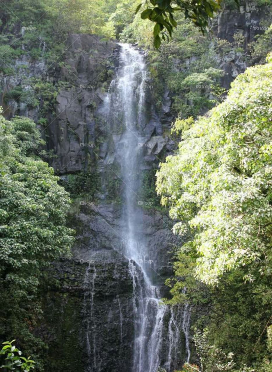 Waterfall Beauty