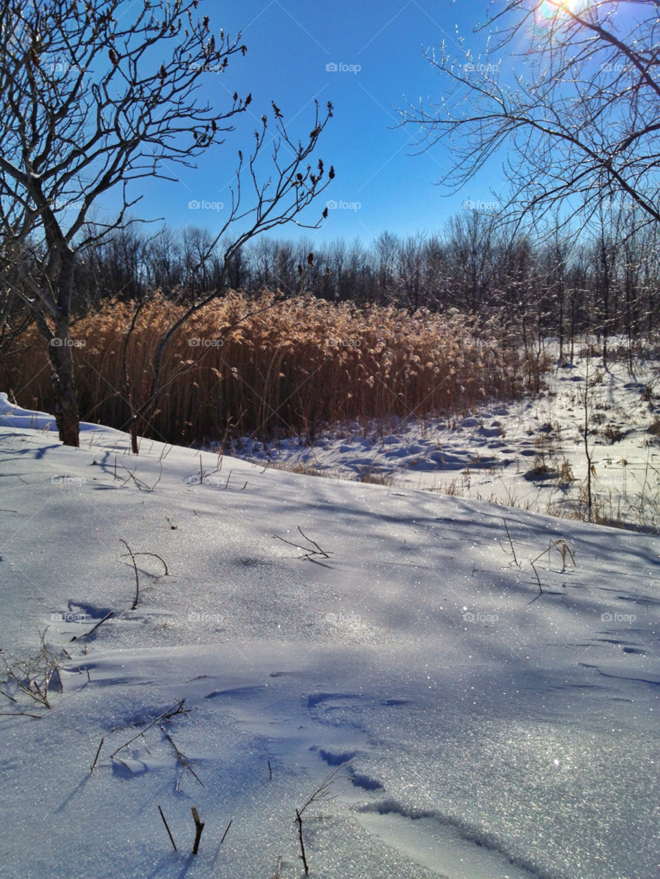 ice snow winter landscape by somebeach