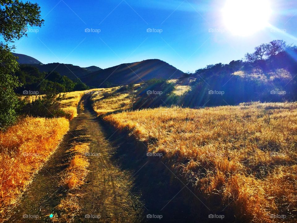 Hiking trail in Southern California