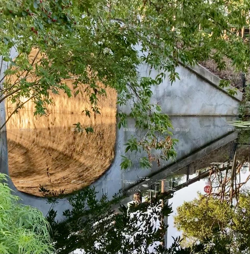 Early morning reflections over Patterson Creek.