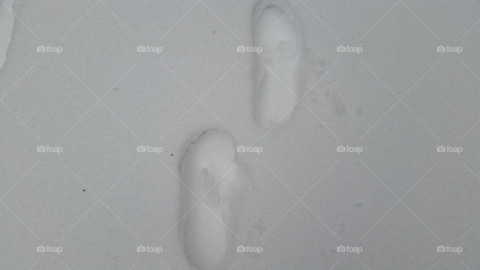 footprints