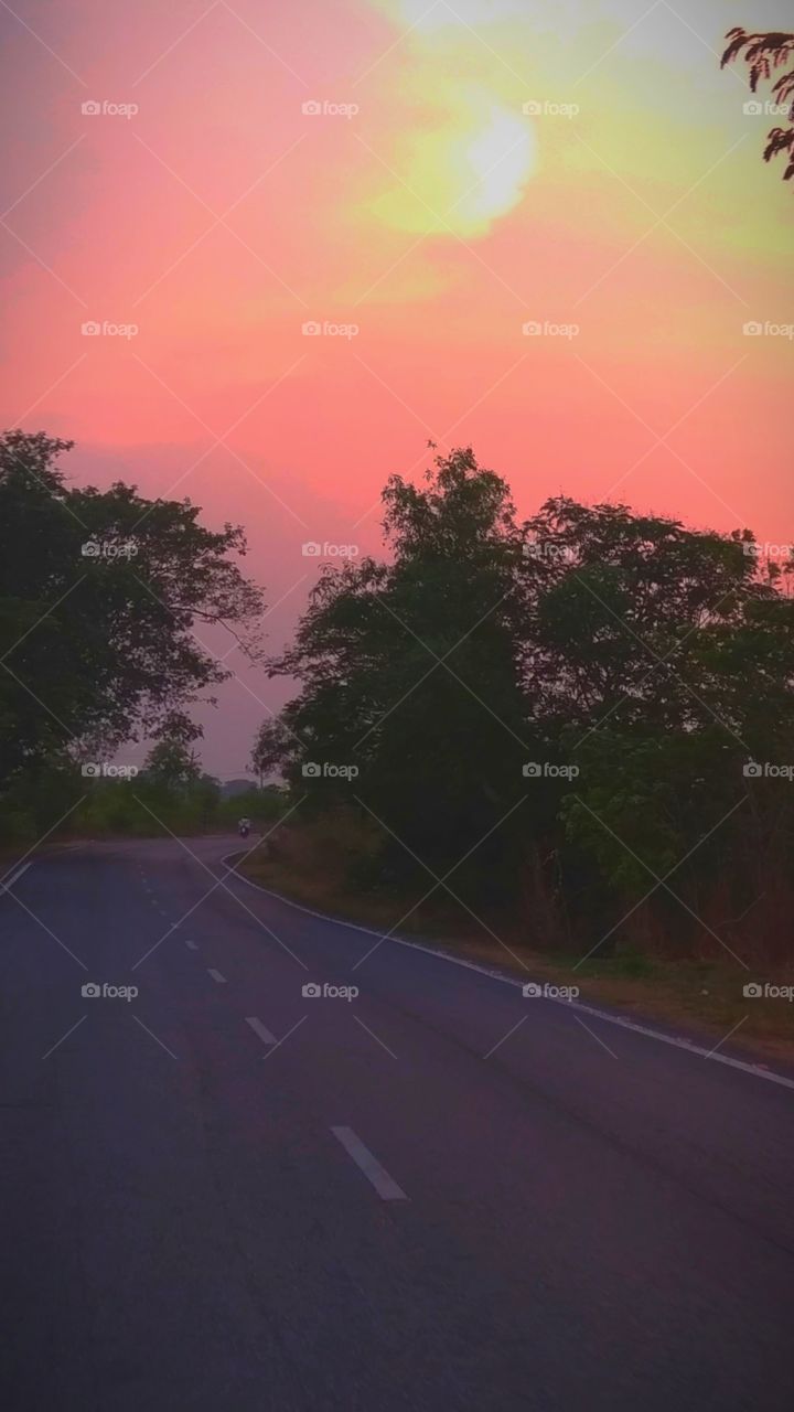 alone in the road of life