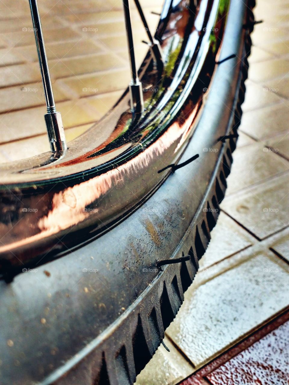cycle tire