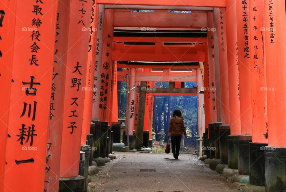 Walking into the myst