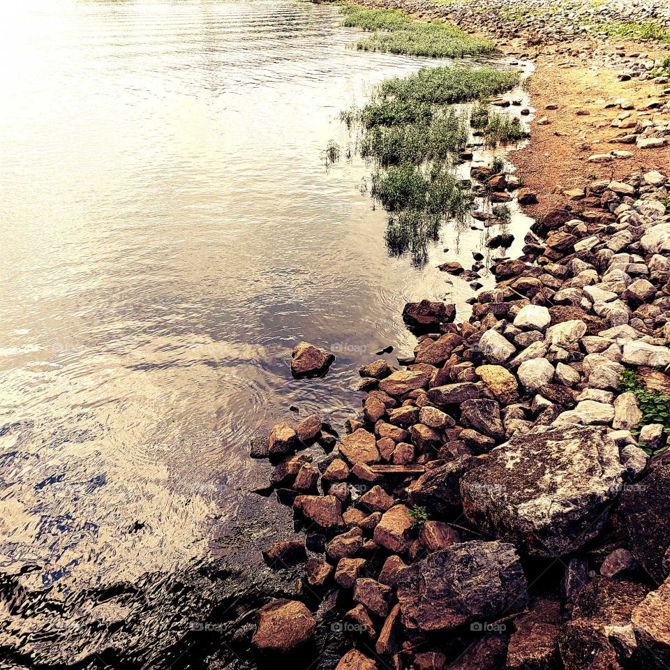 riverside reflection