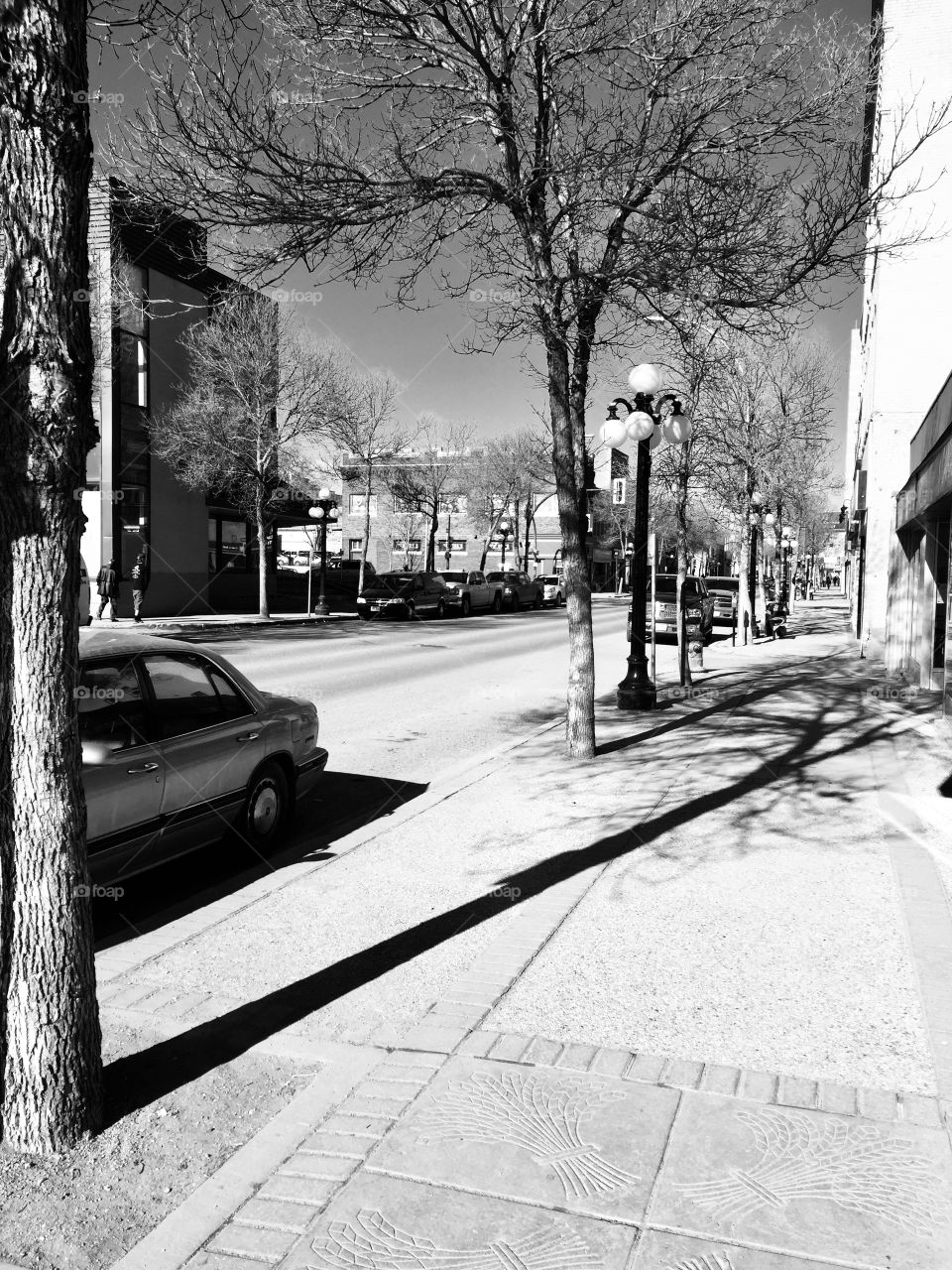 Downtown Brandon Manitoba 