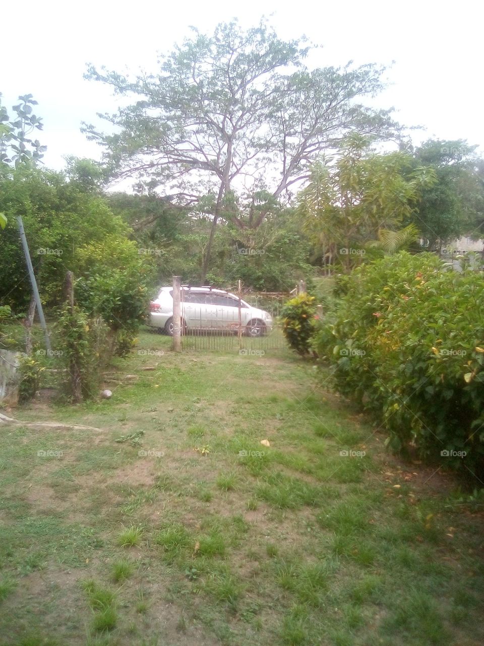 the greatest power is to live in nurture because when you do you will see all the beauty.