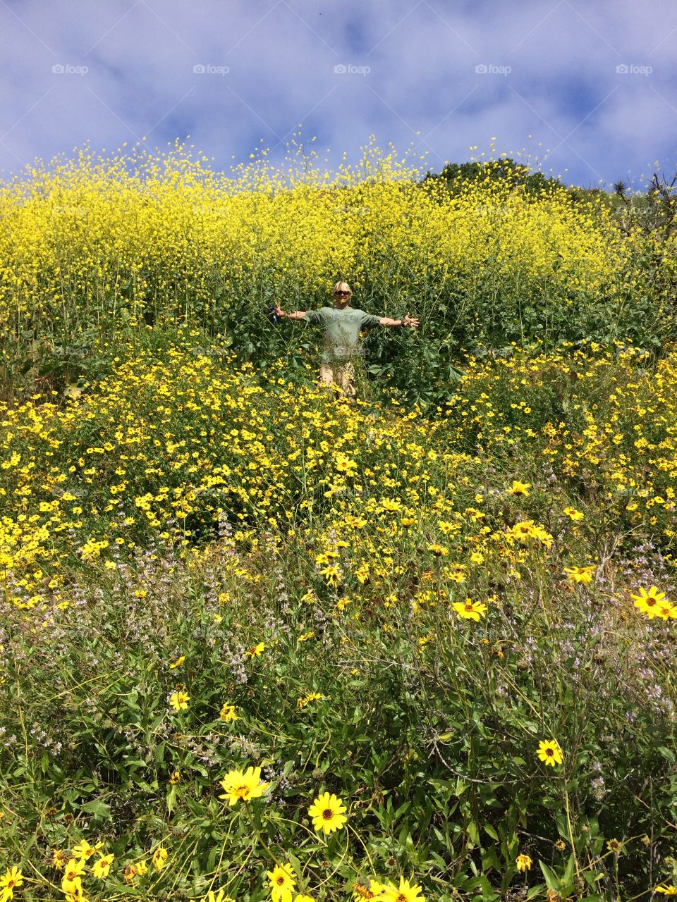 Encinitas superbloom 