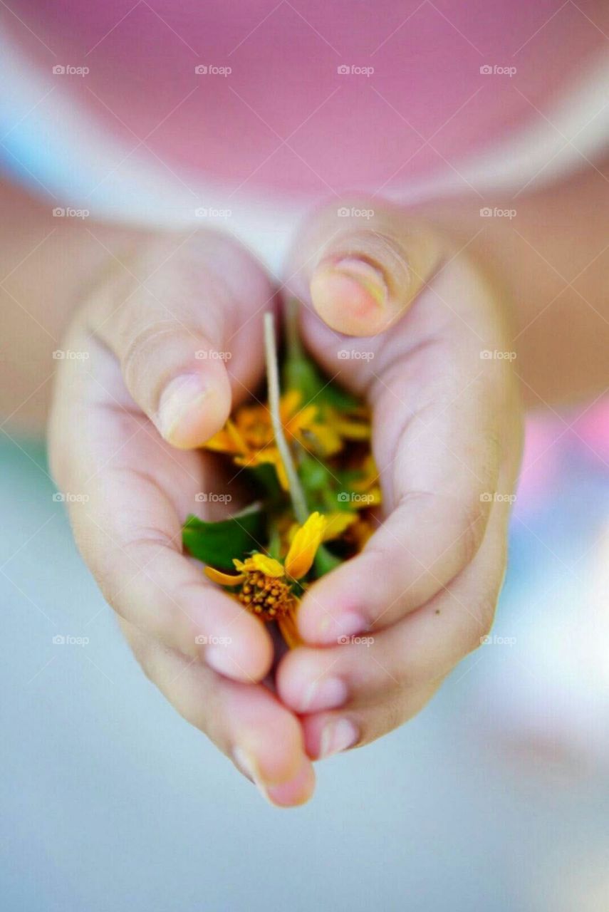 Little Flower Carrying Hands