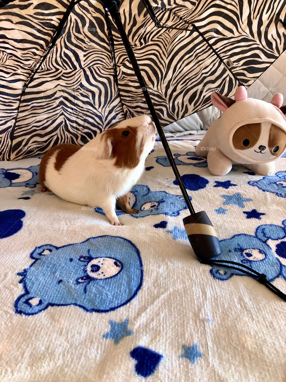 Nicky loves to play under the umbrella  ☂️