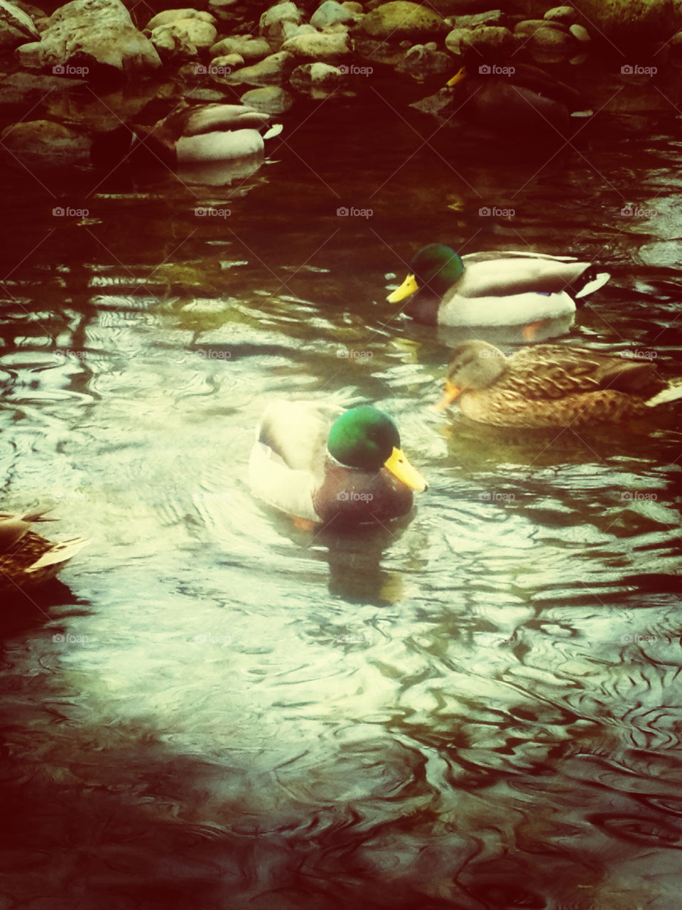  by michael_aldsworth