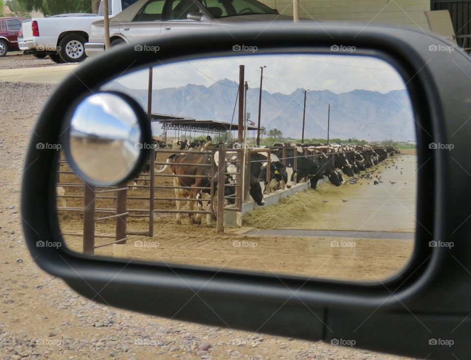 side mirror view of farm