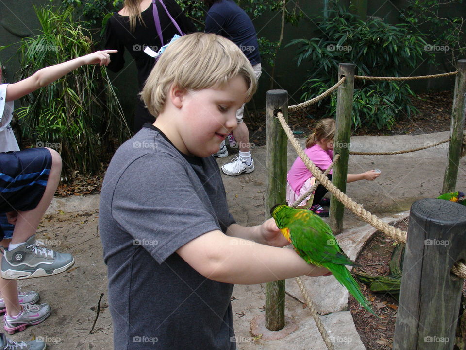 child feeding a lovebird in a bird sanctuary
