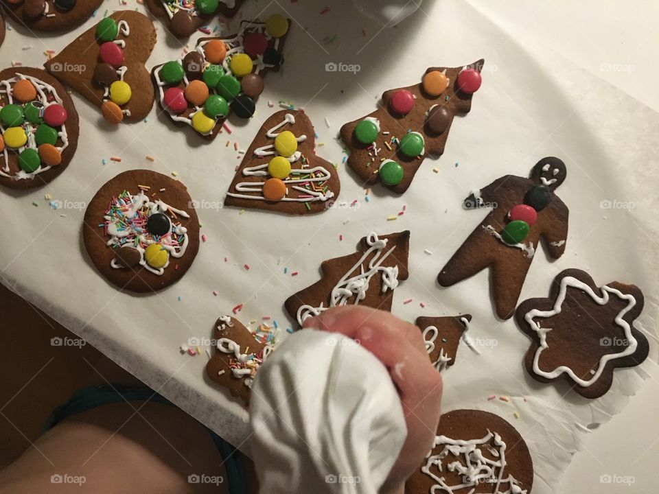 Variety of gingerbread cookies