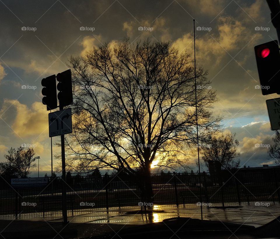 when it rains it shines