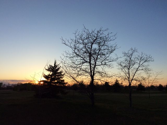 Sunset