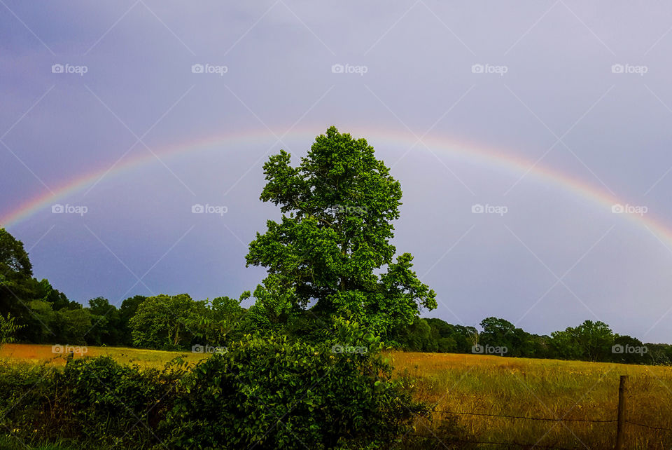 Overarching rainbow