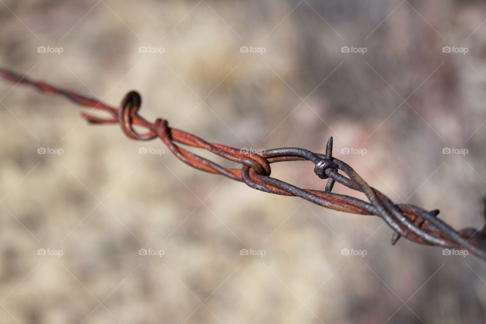 Barbed Wire