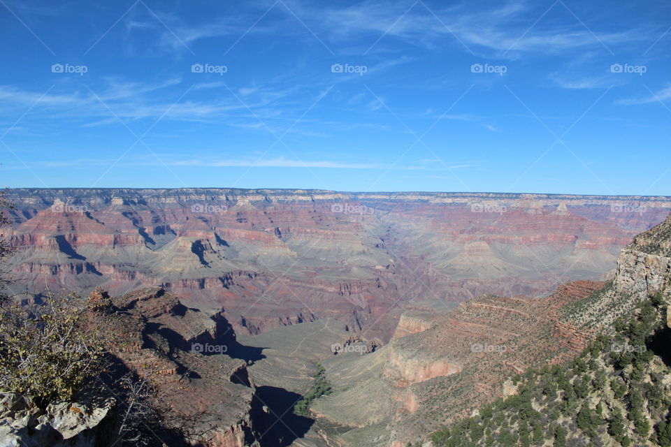 Grand Canyon View