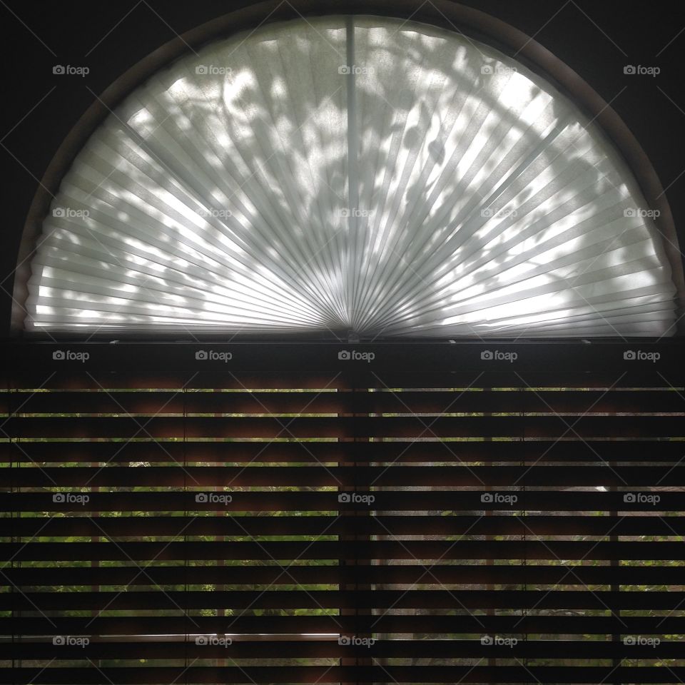 Window shadow. Treeshade