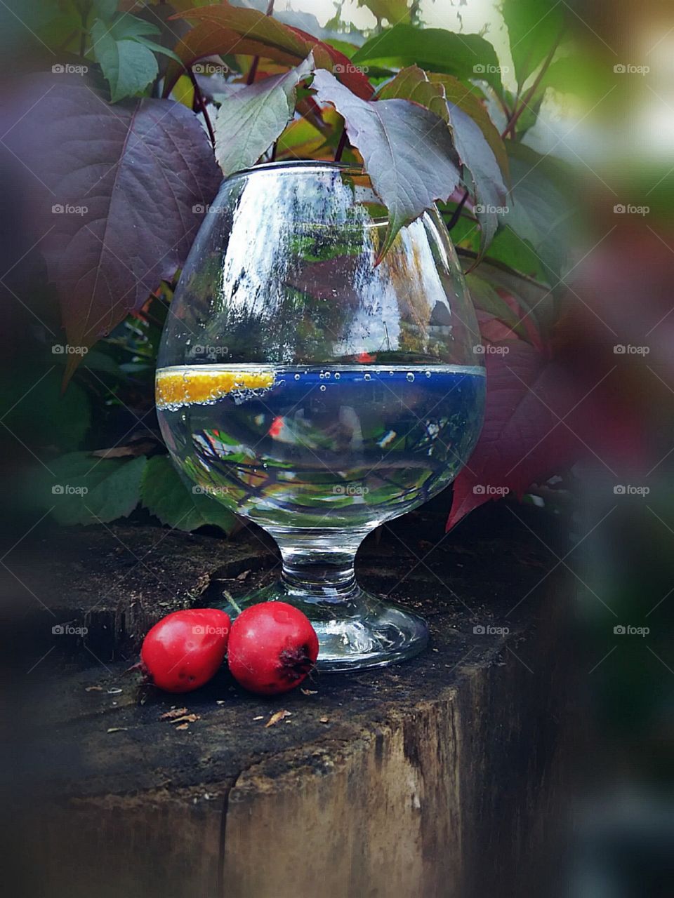 A glass and berries. Beautiful reflection.