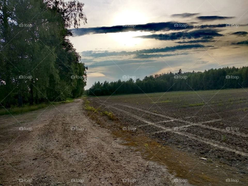 Проблеск солнца