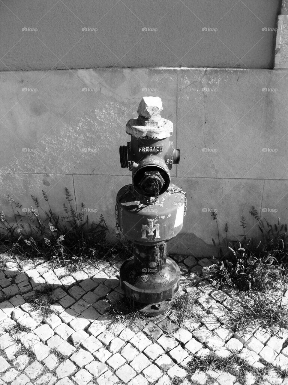 Portugal. Fire hydrant