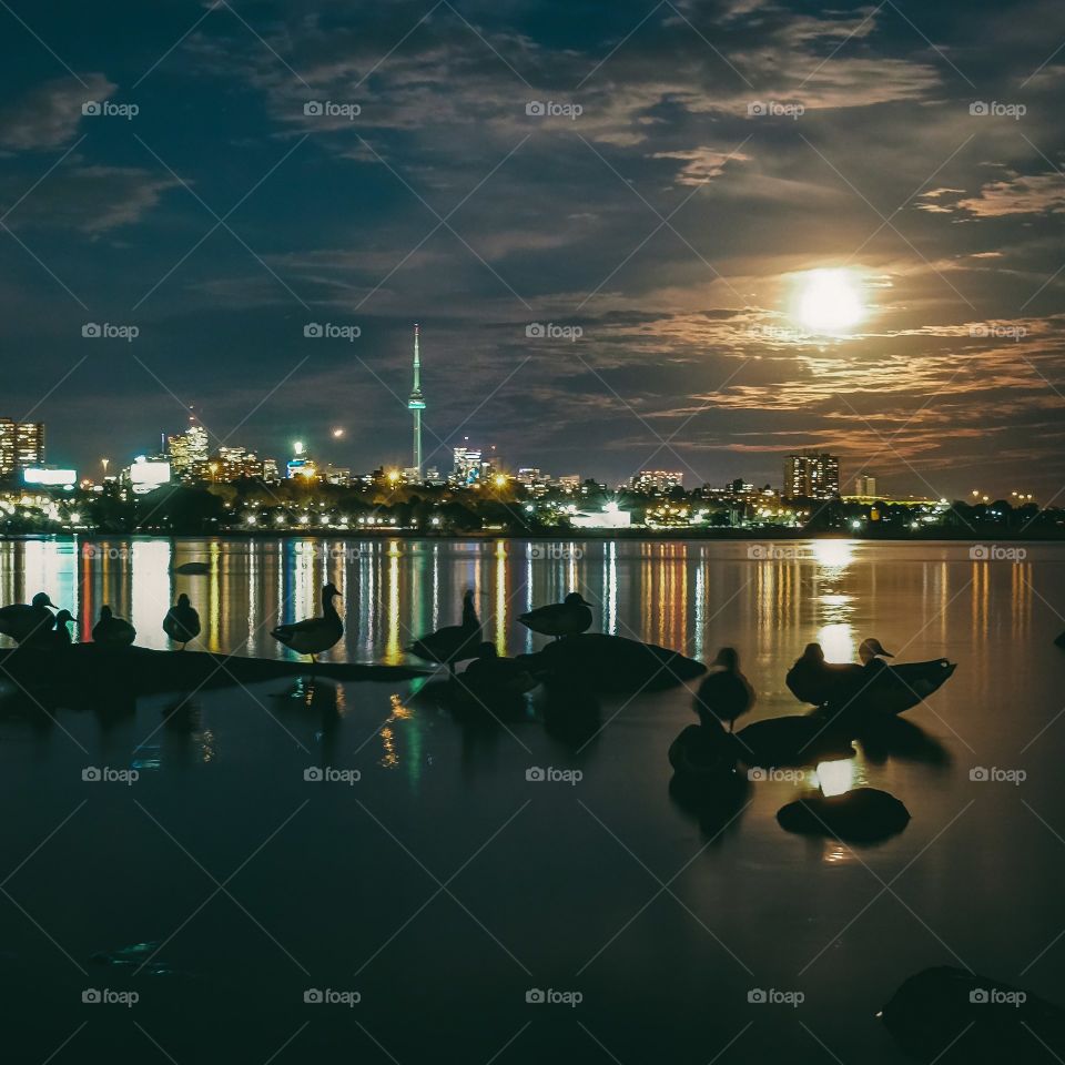 Quiet evening by lakeshore with ducks