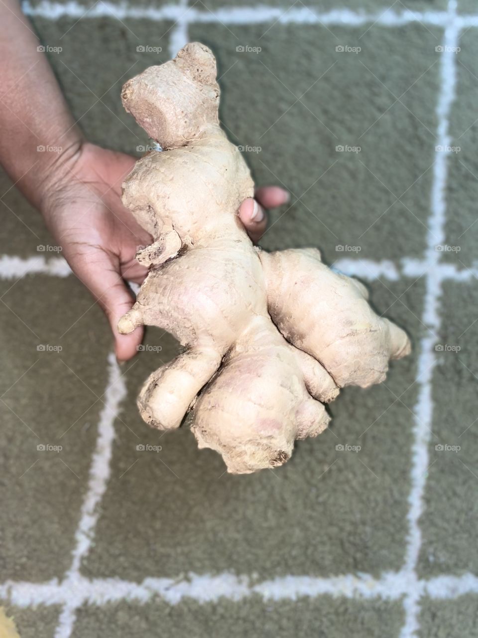 Beautiful and amazing big ginger 