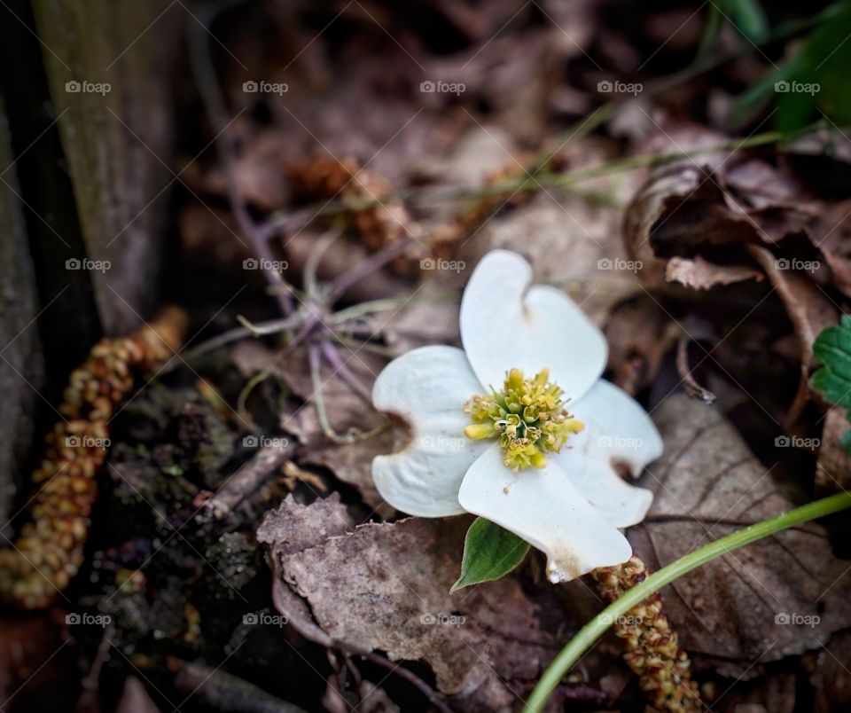 Discoveries between fence lines.