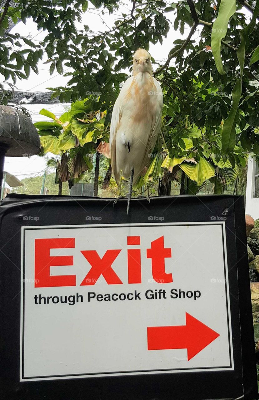 exit sign supervisor