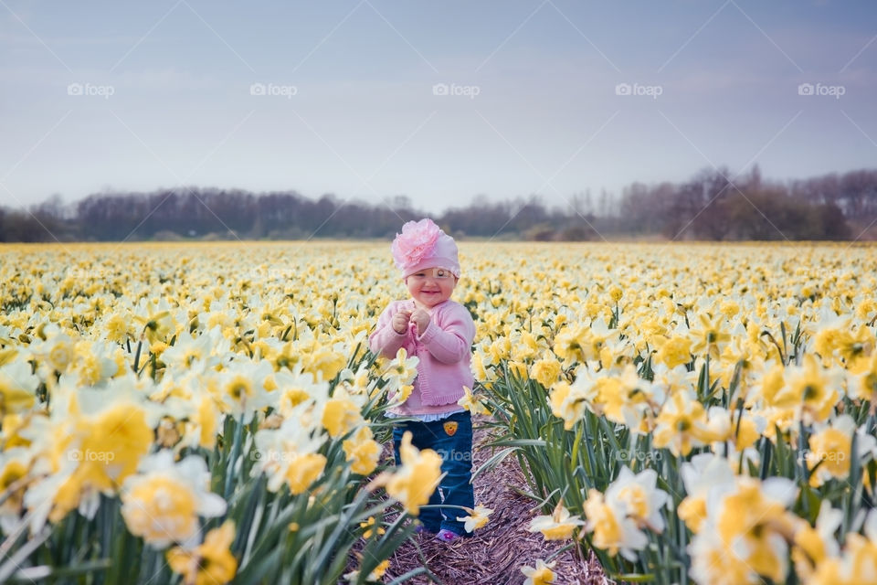 Little girl in a blossom narcissus meadow 