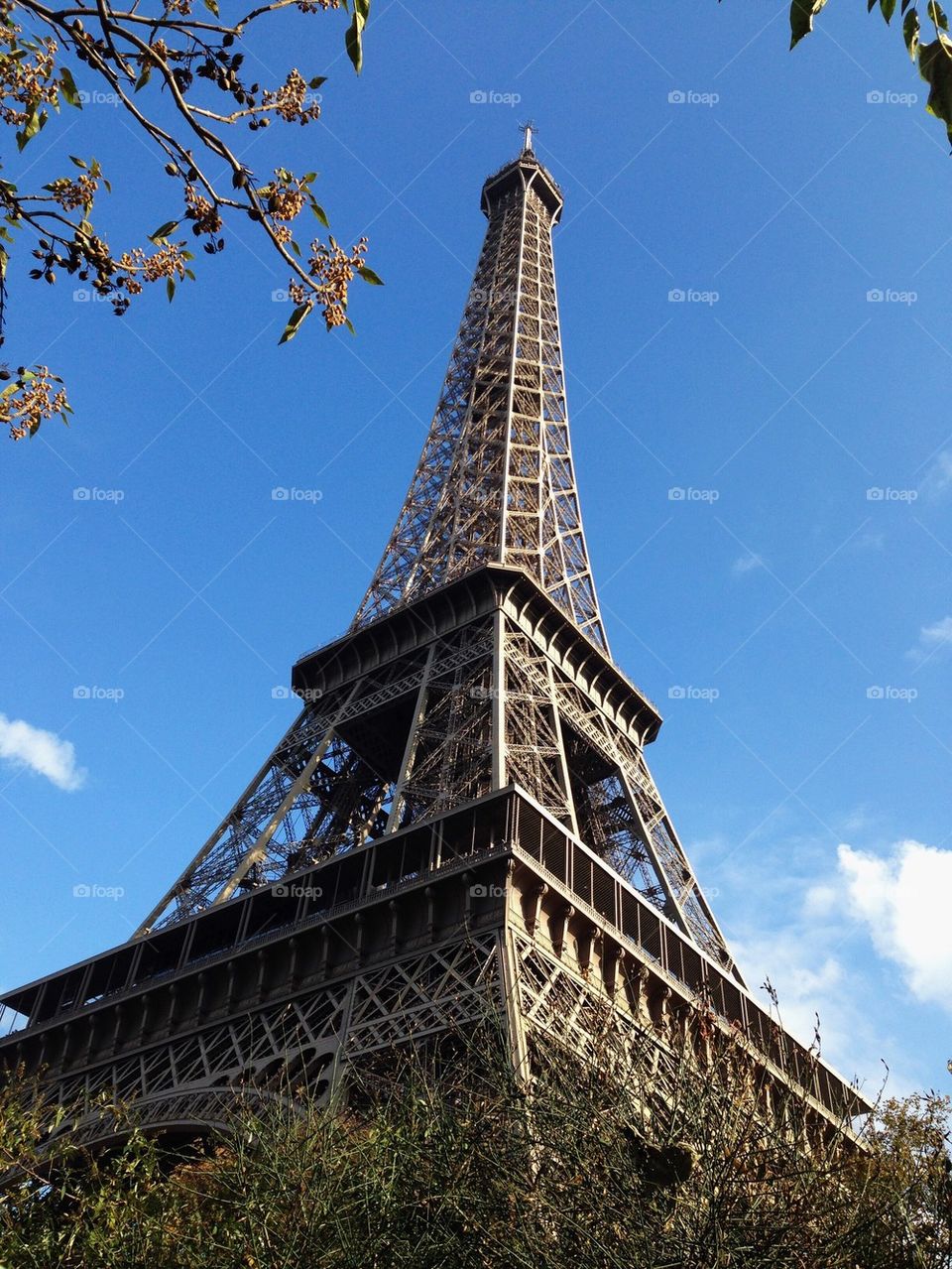 The eiffel tower