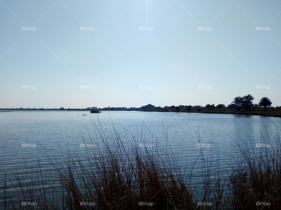 Mansarovar Dam India image
