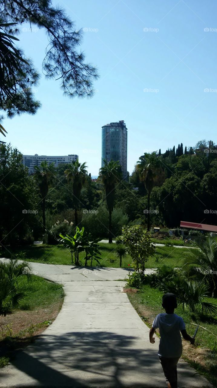 Botanical garden Arboretum in Sochi