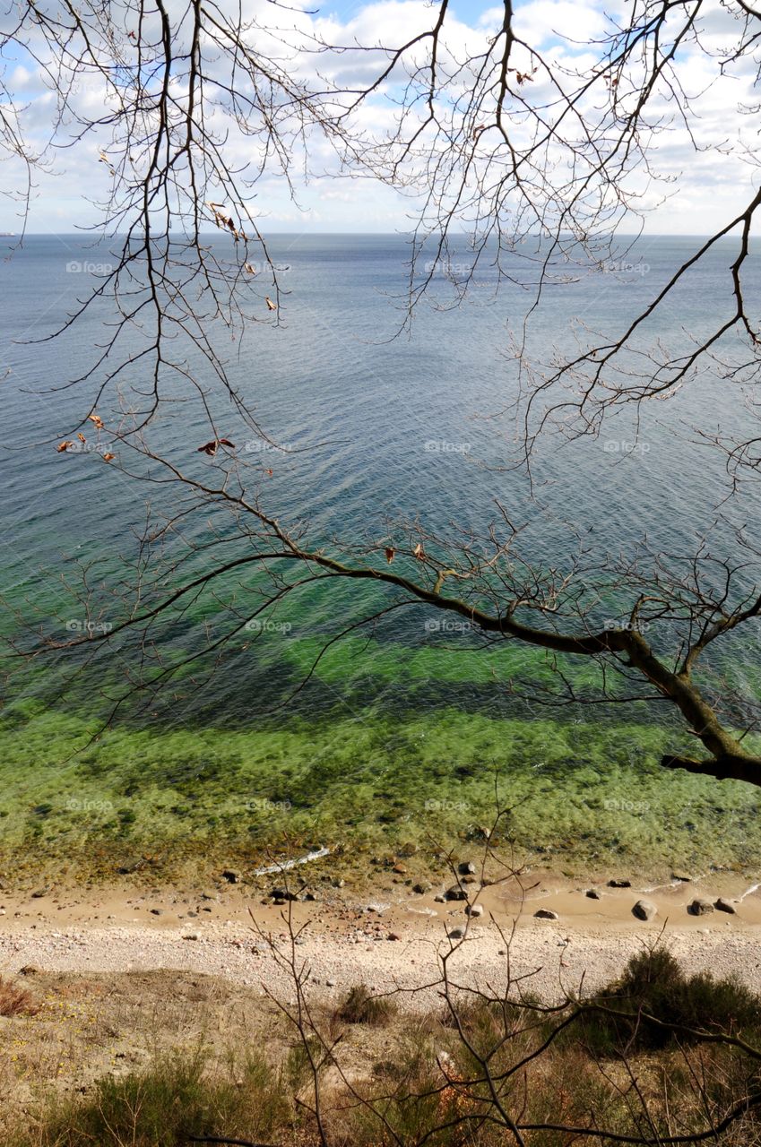 Landscape, Tree, Nature, No Person, Water