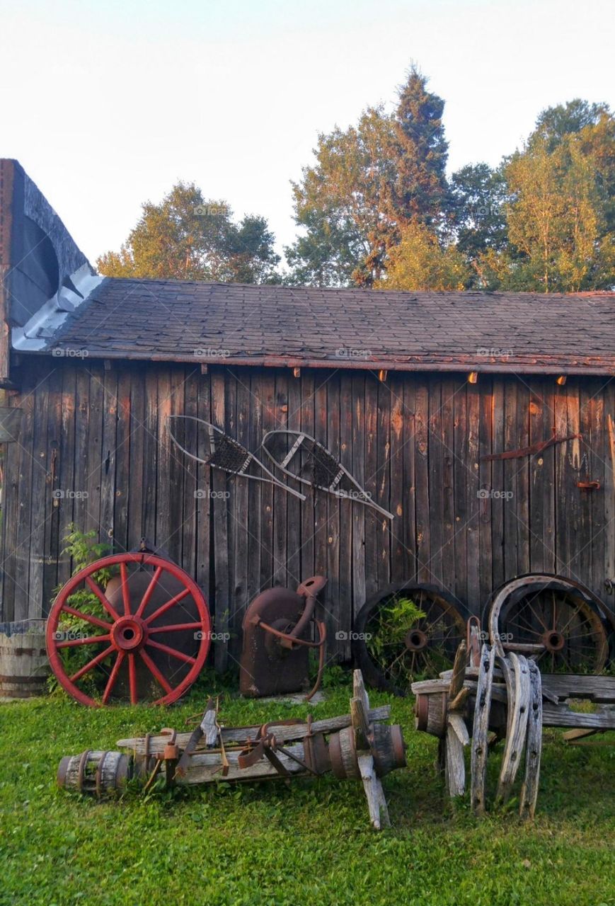 Rustic country scene