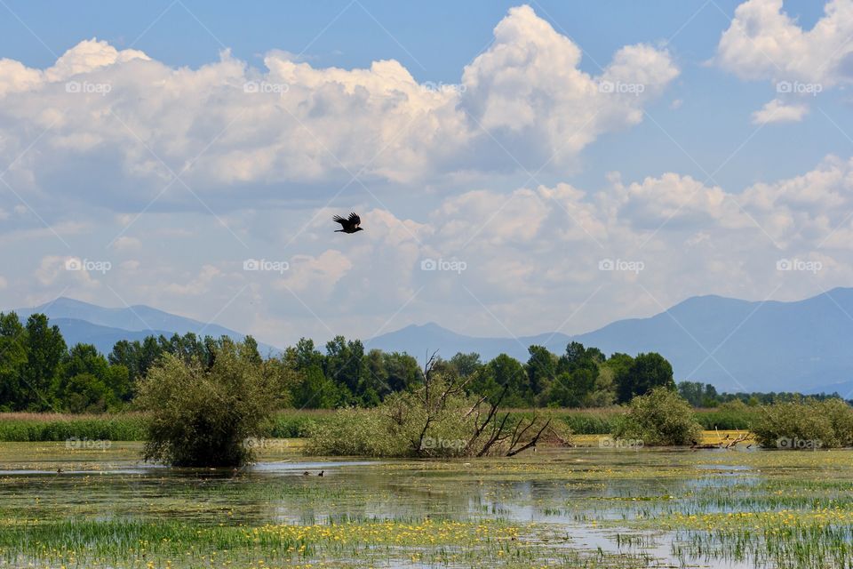 Beautiful view of Kerkini lake in Greece, Europe