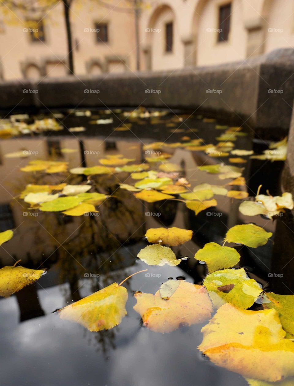 Fall Fountain Reflection, Prague