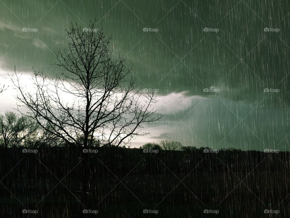 Mean and Green - low overhanging greenish rain clouds during downpour, bright sky and tree silhouette 