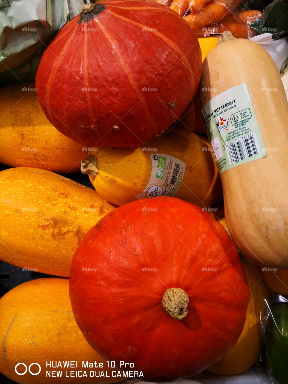 Hello halloween 🎃 🎃 🎃 🎃