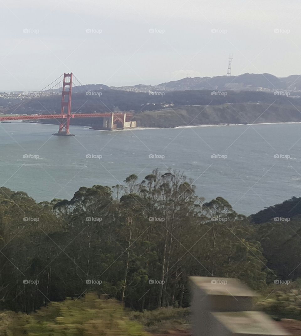 Golden Gate Bridge Scenery
