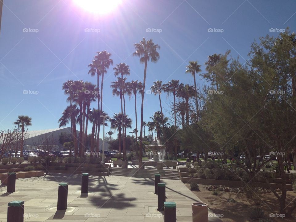 Tucson park fountain