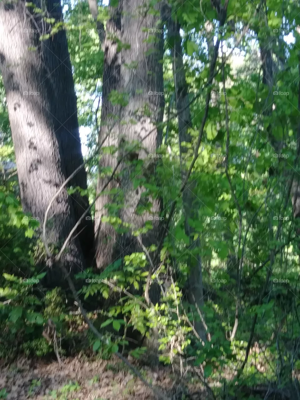 outdoors