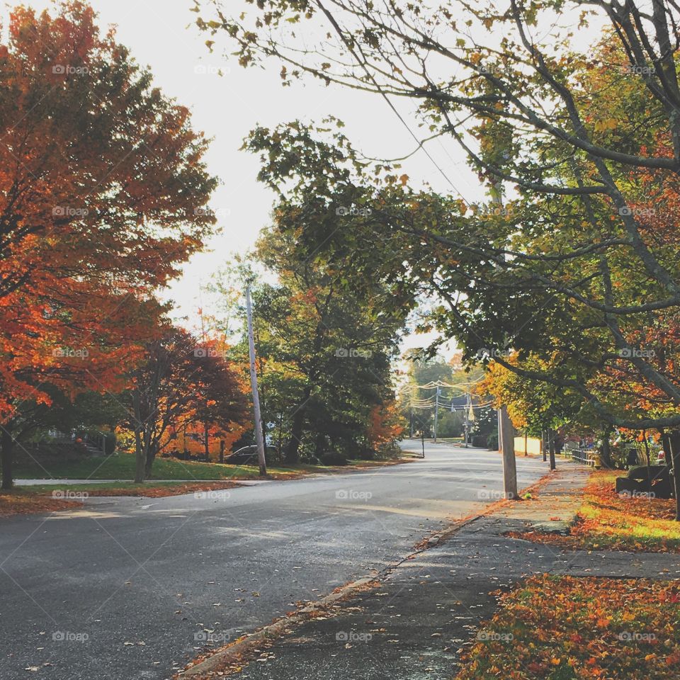 Fall in New England