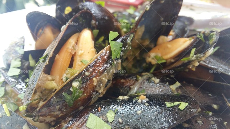 Mussels